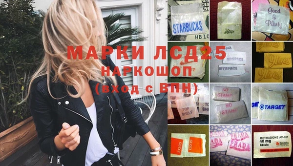стаф Арсеньев