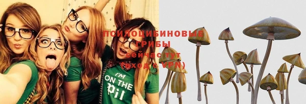 стаф Арсеньев