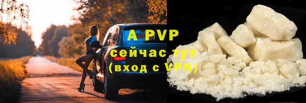 стаф Арсеньев