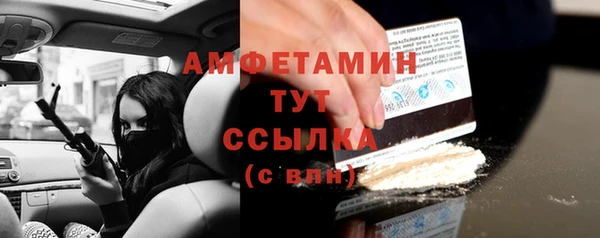 хмурый Аркадак