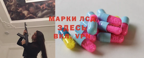 стаф Арсеньев
