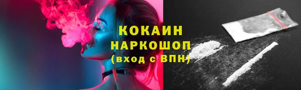 хмурый Аркадак