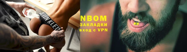 хмурый Аркадак