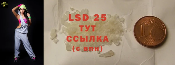 стаф Арсеньев