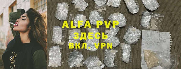 стаф Арсеньев