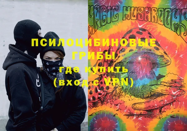 стаф Арсеньев