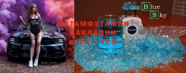 хмурый Аркадак