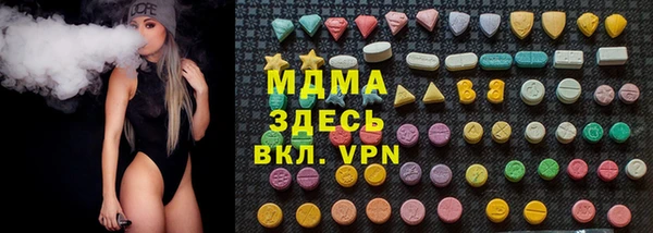 хмурый Аркадак