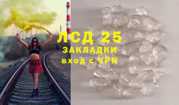 стаф Арсеньев