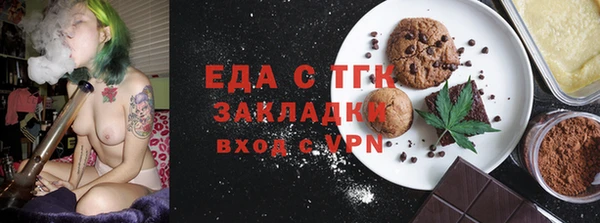 хмурый Аркадак