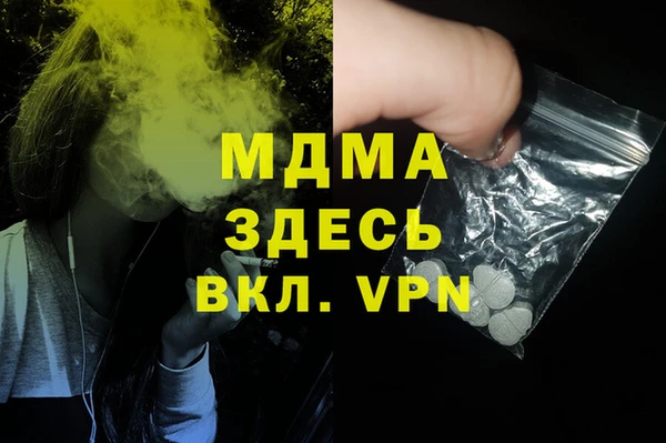 хмурый Аркадак