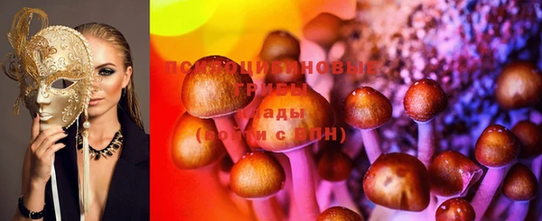 стаф Арсеньев