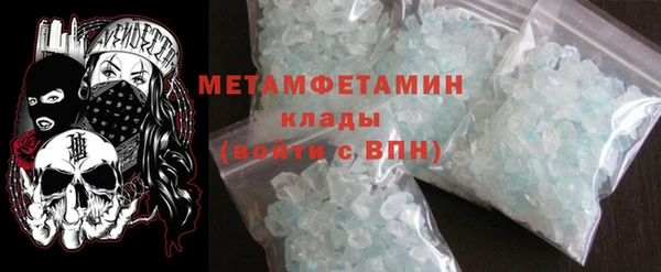 хмурый Аркадак
