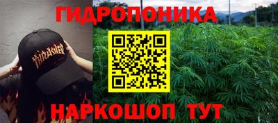 гашик Красноармейск