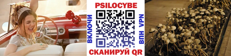 Галлюциногенные грибы MAGIC MUSHROOMS  где купить наркоту  ОМГ ОМГ зеркало  Киреевск 