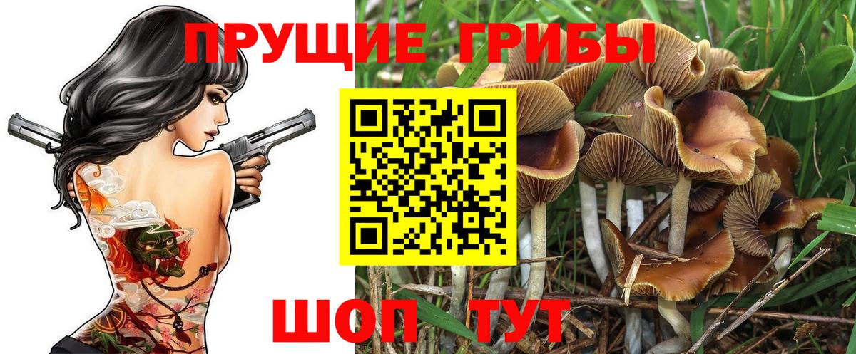 Псилоцибиновые грибы Magic Shrooms  Псилоцибиновые грибы мицелий  Вход с VPN  Киреевск 