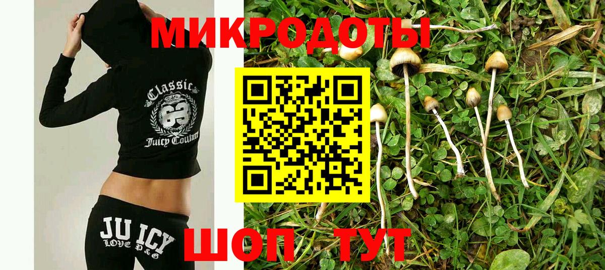 Галлюциногенные грибы GOLDEN TEACHER Киреевск