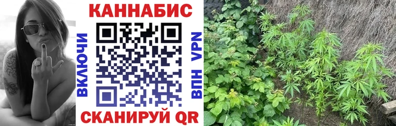 сколько стоит  Киреевск  mega ССЫЛКА  Каннабис индика 
