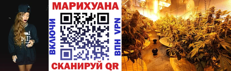 Каннабис индика Киреевск